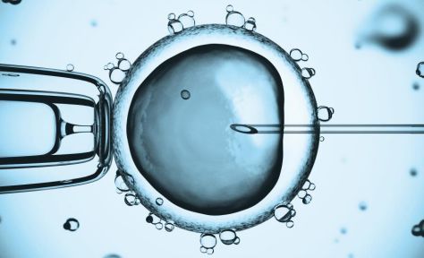 陕西试管婴儿医院