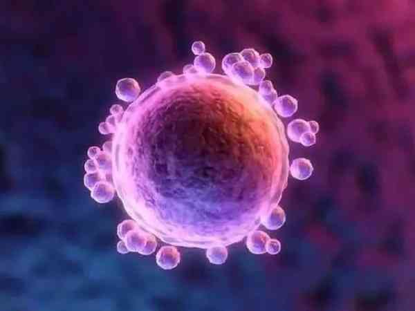 马来西亚试管婴儿