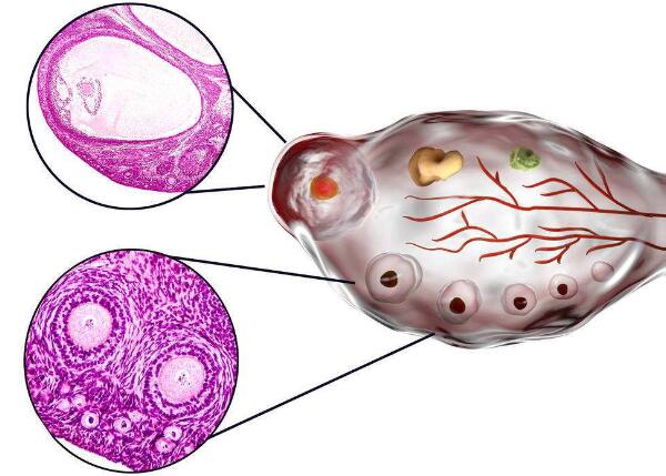 青岛助孕夹上词309584q