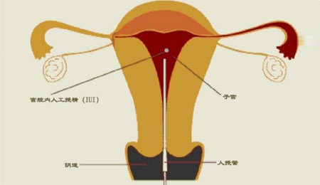 青海省考试管理中心