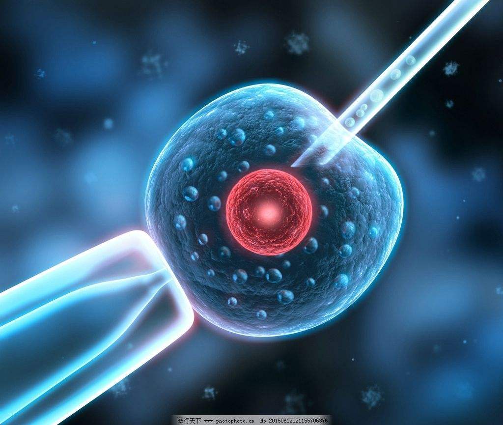 杭州高龄试管婴儿