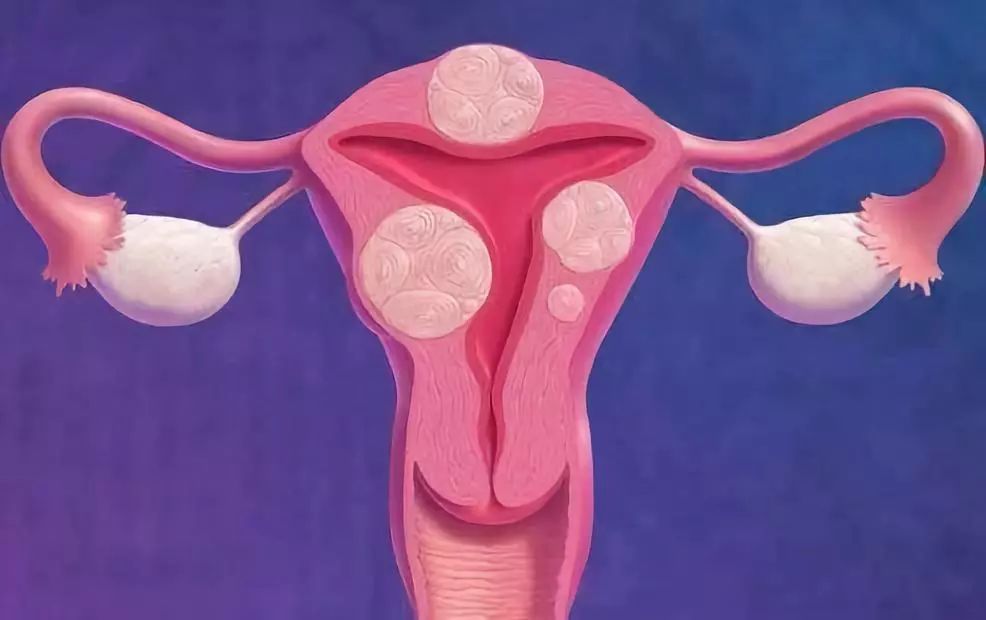 青岛助孕夹上词309584q