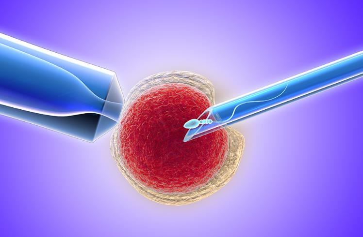 青海省考试管理中心