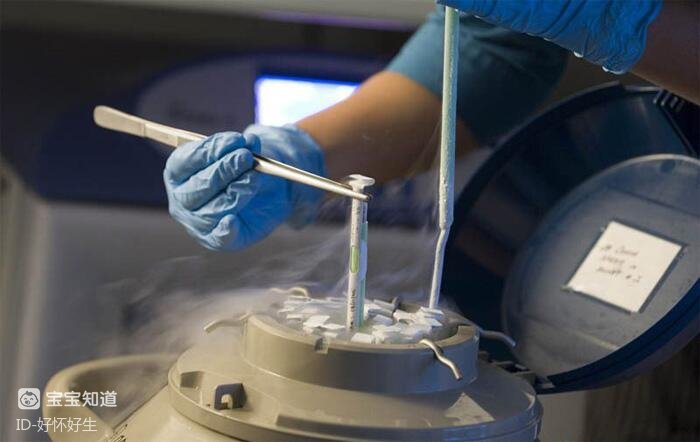 马来西亚试管婴儿