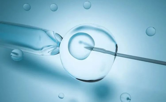 第三代试管婴儿