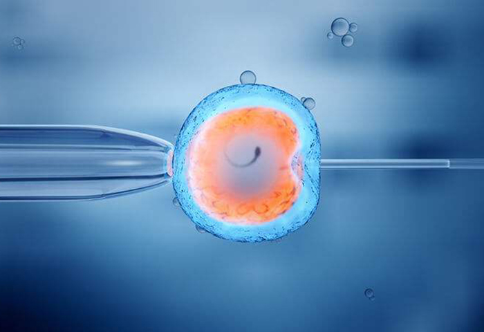 驾校考试管理系统