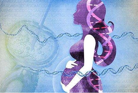 50岁做试管婴儿