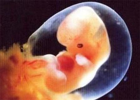 香港试管婴儿医院