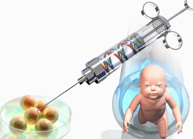 马来西亚试管婴儿
