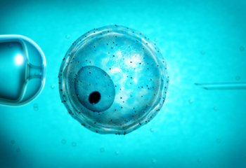 青岛试管婴儿医院