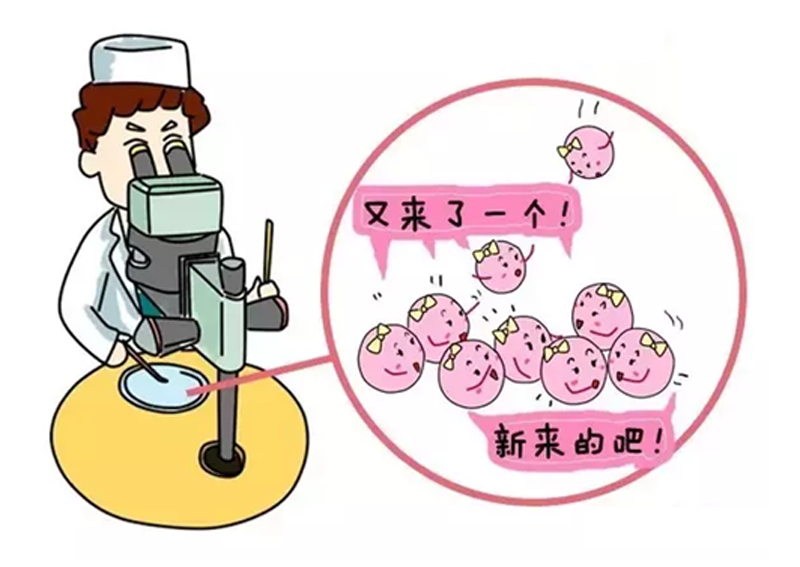 马来西亚试管婴儿