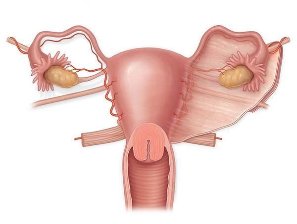 马来西亚试管婴儿