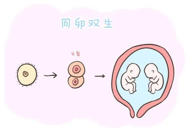 50岁做试管婴儿